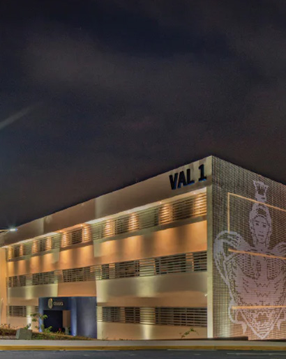 Ventas Institucionales